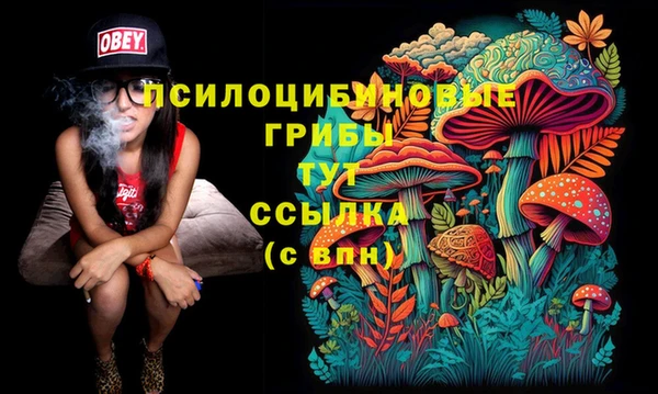 не бодяженный Алексин