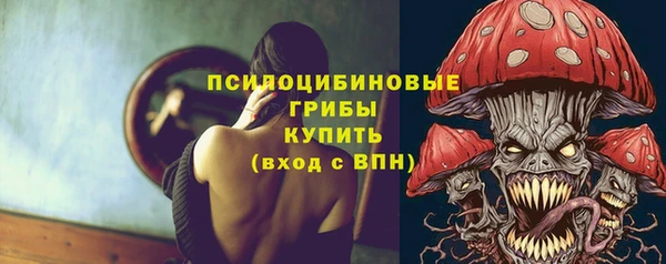 не бодяженный Алексин